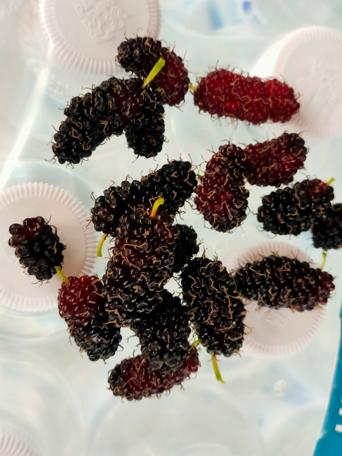 Mulberry ready for eat
