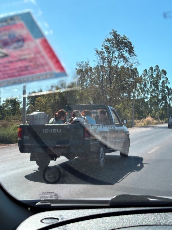 girls and a boy in the open air in warm weather on the back of the small truck