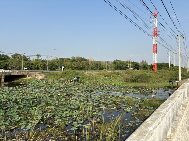 a tributary flows under the main road