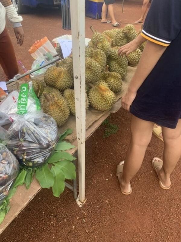 tasty durian